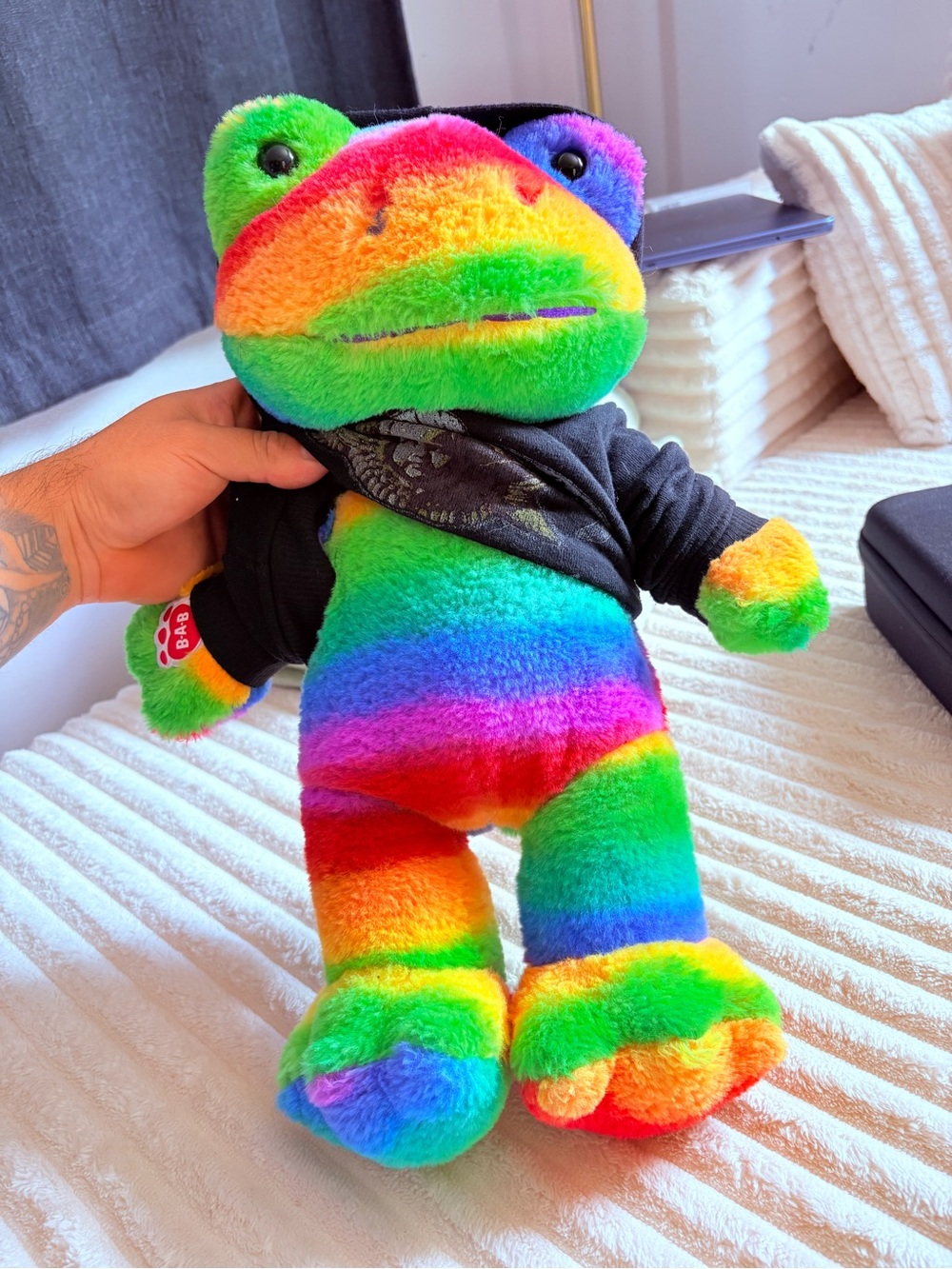 Rainbow Striped Plush Frog with Black Hoodie
